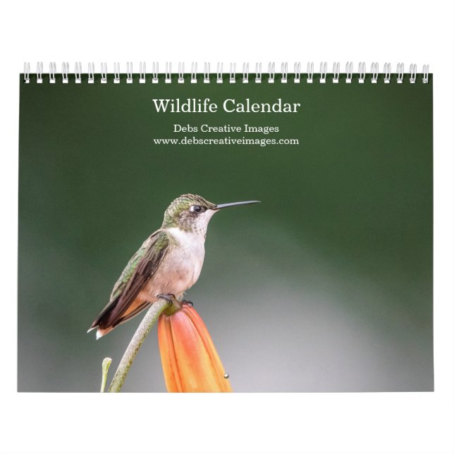 Calendário 2027 Vida Selvagem Norte-Americana | Aves & Mamífe (Capa)