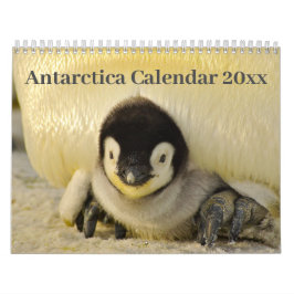 Calendário 20xx - Antártica