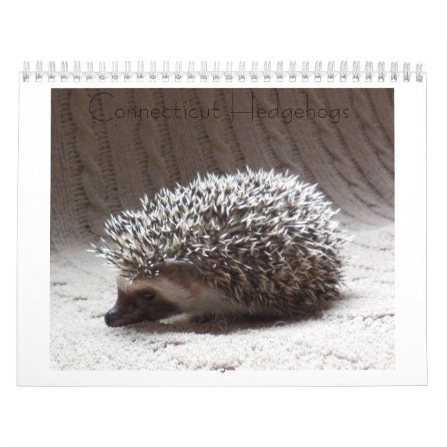 Calendário 3 do bebê do ouriço (Capa)