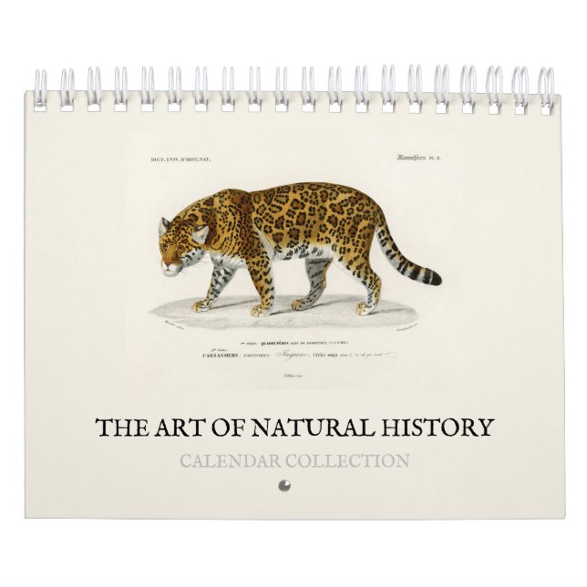 CALENDÁRIO : A ARTE DA HISTÓRIA NATURAL (Capa)