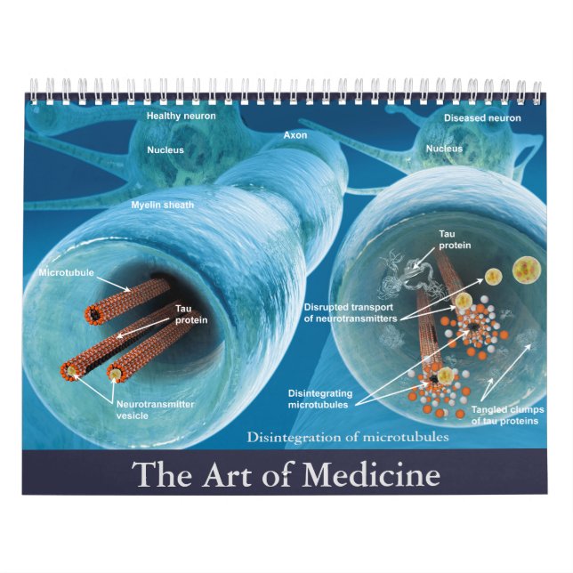 Calendário A arte da medicina (Capa)