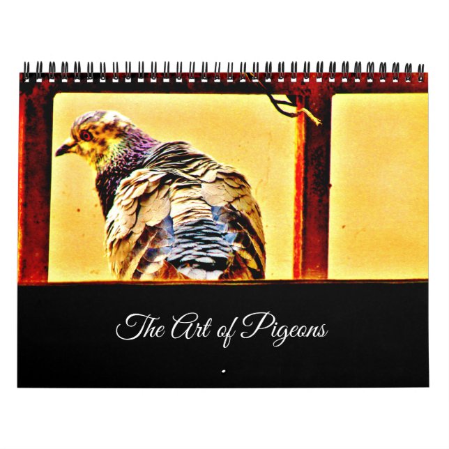 Calendário A Arte de Pombos (Capa)
