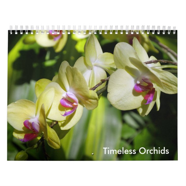 Calendário A Beleza das Orquídeas (Capa)