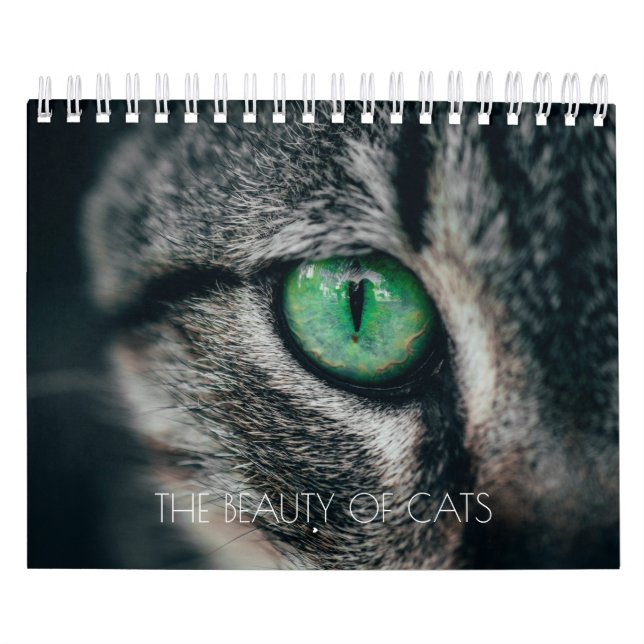 CALENDÁRIO "A BELEZA DOS GATOS" (Capa)