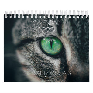CALENDÁRIO "A BELEZA DOS GATOS"