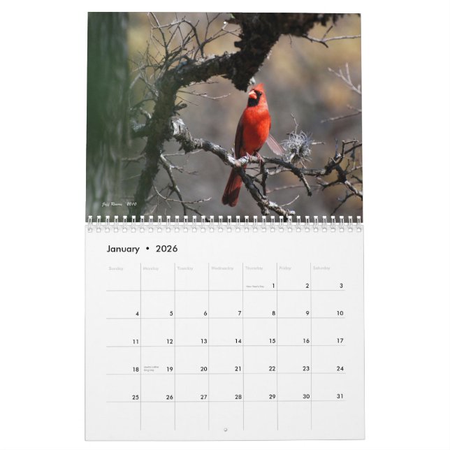 Calendário A beleza natural 2011 de Texas (Jan 2026)