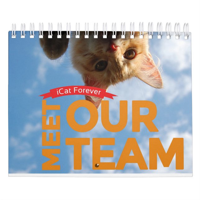 Calendário A equipe ICat Calendar para sempre (Capa)
