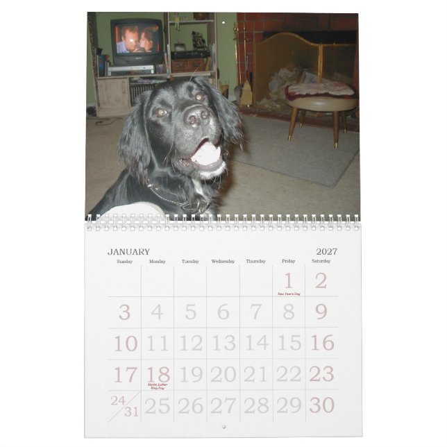 Calendário A família de Cicoletti (Jan 2027)
