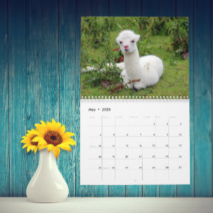 Calendário A Llama e Alpaca Qualquer Ano personalizado