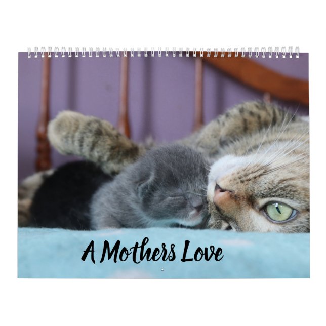 CALENDÁRIO A MOTHERS LOVE MAMACAT & HER KITTENS (Capa)