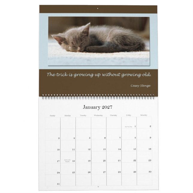 Calendário A preocupação desperdiça a sabedoria (Jan 2027)