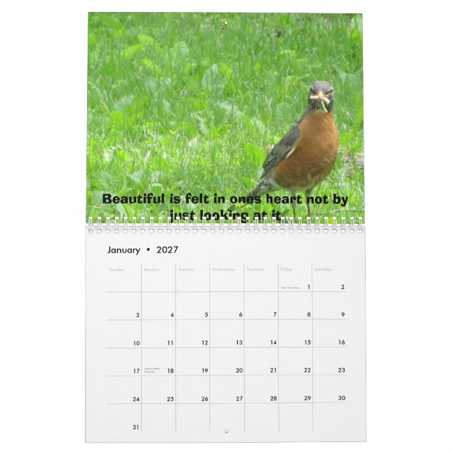 Calendário A vida é bonita (Jan 2027)