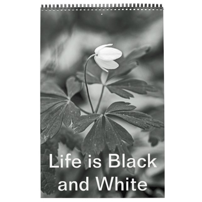 Calendário - A vida é negra e branca (Capa)