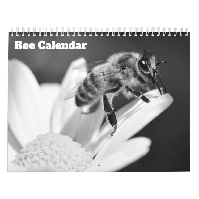 Calendário Abelha 2026 (Capa)