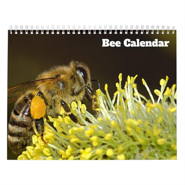 Calendário Abelha 2027 (Capa)