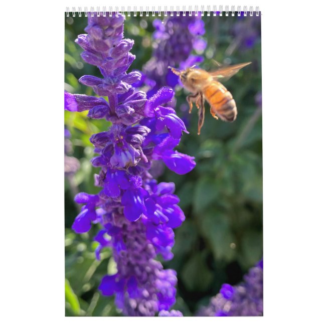 Calendário abelhas borboletas (Capa)