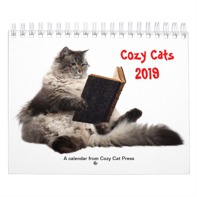 Calendário acolhedor 2019 dos gatos (Capa)