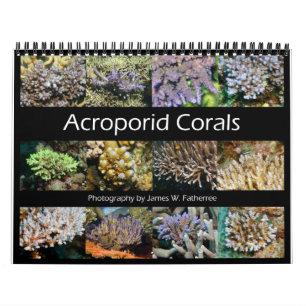Calendário Acroporid Corals Wall Calendar por J.W. Pai.