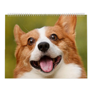 Calendário Adicionar Foto de Cão Personalizada Personalizada