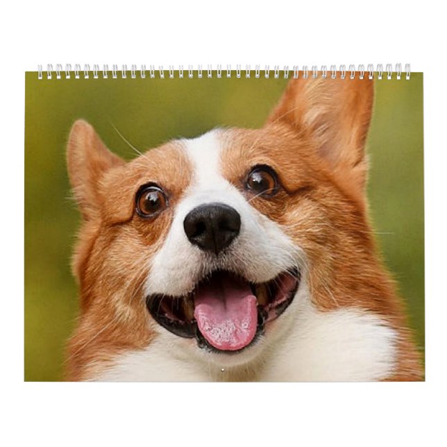 Calendário Adicionar Foto de Cão Personalizada Personalizada (Capa)