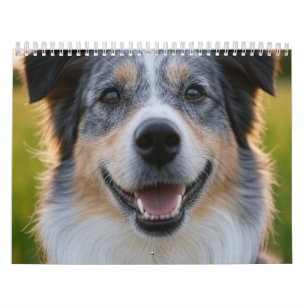 Calendário Adicionar Foto Pet Personalizar