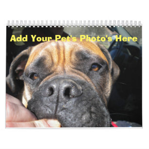 Calendário Adicione as fotos do seu animal de estimação a