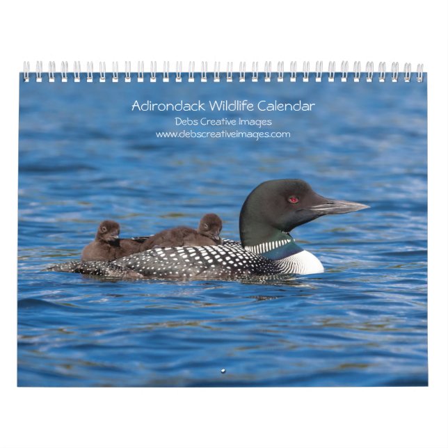Calendário Adirondack Wildlife 2026 (Capa)