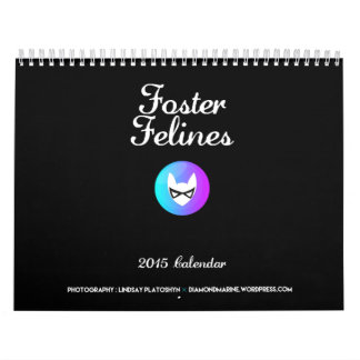 Calendário adoptivo de 2015 Felines