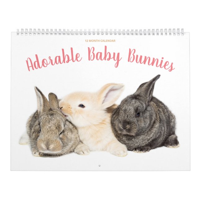 Calendário Adorável de Bunnies Bebês (Capa)
