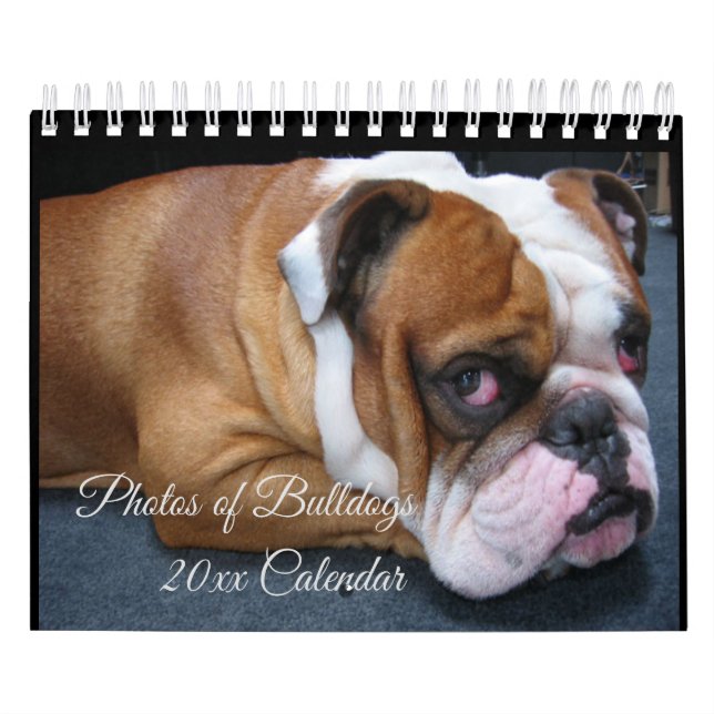 Calendário Adorável para Cães de Bolsa de Inglês p (Capa)