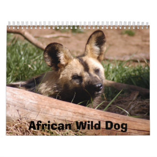 Calendário african-wild-dog-012, cão selvagem africano