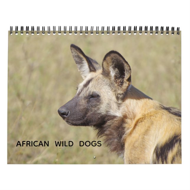 CALENDÁRIO AFRICAN WILD DOGS (Capa)