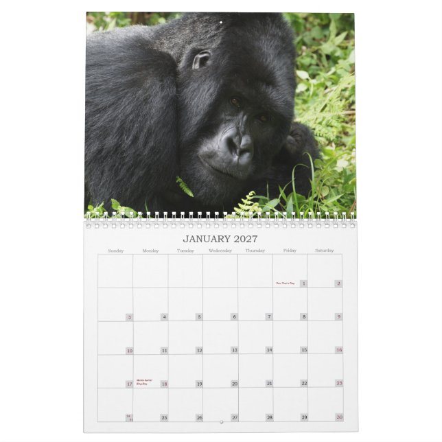 Calendário africano 2013 dos animais selvagens (Jan 2027)
