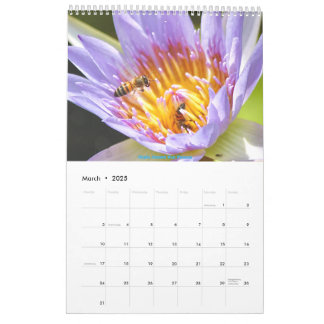 Calendário Africano da Vida Selvagem 2025