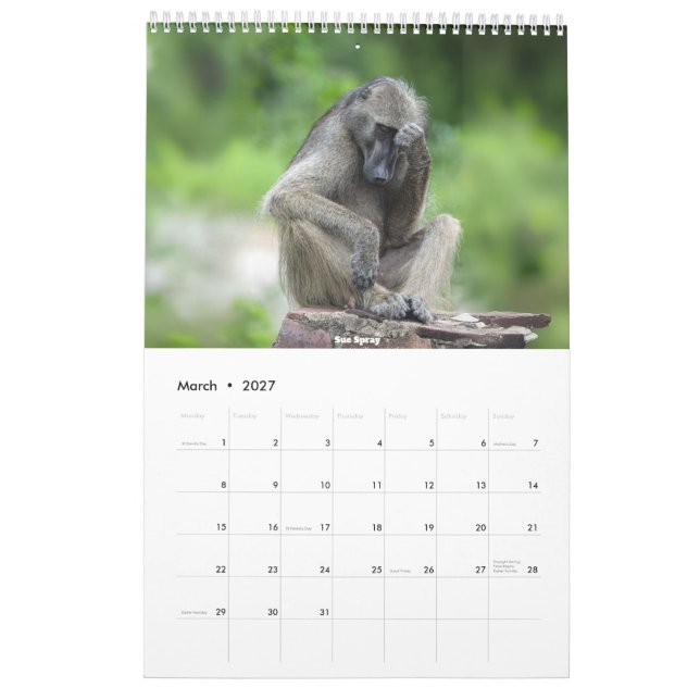 Calendário Africano da Vida Selvagem 2026 (Mar 2027)