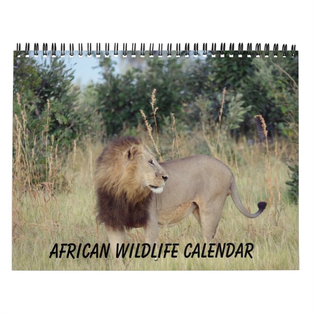 CALENDÁRIO AFRICANO DOS ANIMAIS SELVAGENS (Capa)
