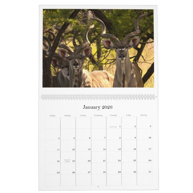 Calendário africano dos animais selvagens (Jan 2026)