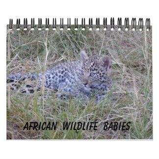 CALENDÁRIO AFRICANO DOS BEBÊS DOS ANIMAIS