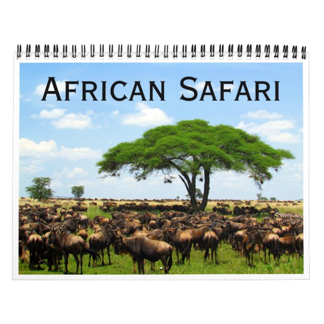 Calendário africano safari 2026 (Capa)