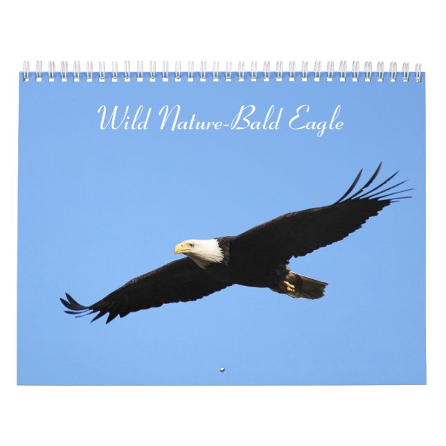 Calendário Águia Natural Selvagem (Capa)