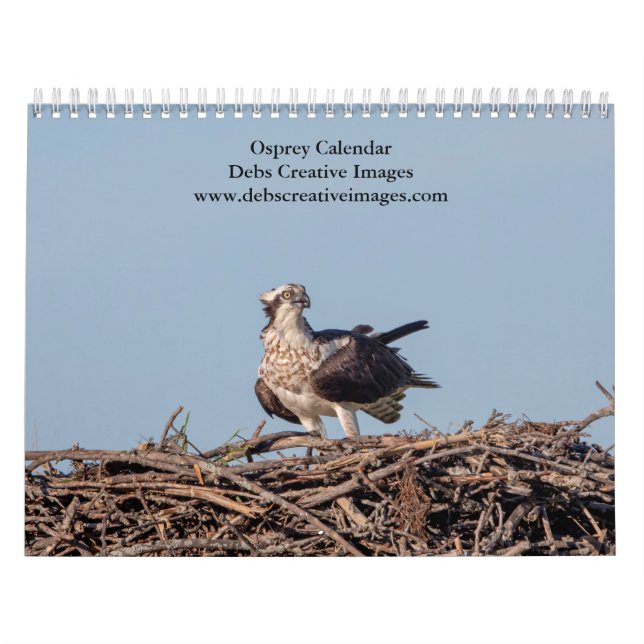 Calendário Águia-pescadora 2026 (Capa)