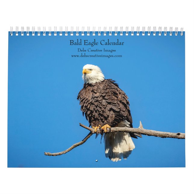 Calendário Águias Americanas de 2027 | Vida Selvagem American (Capa)