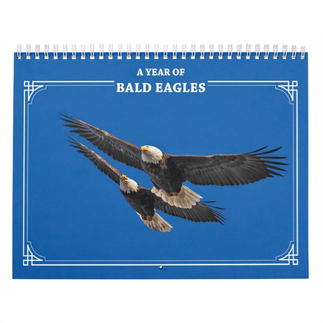 Calendário Águias Baldas Todo o Ano (Capa)