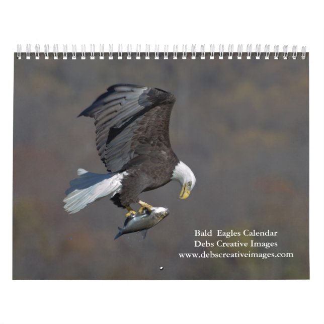 Calendário Águias Carecas 2026 (Capa)