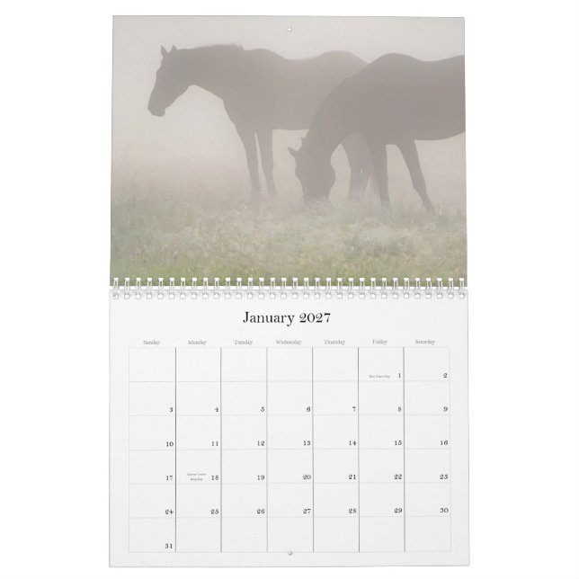 Calendário Ainda vagueando 2013 (Jan 2027)