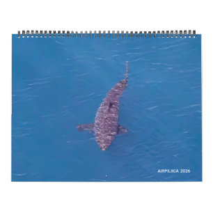 Calendário Airpilikia 2026