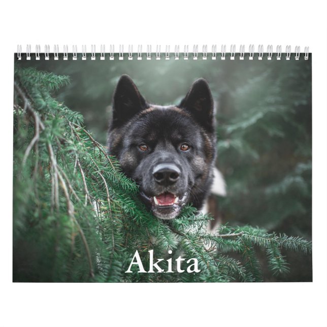 Calendário Akita Calendar (Capa)