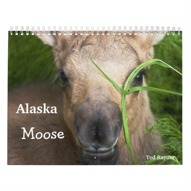 Calendário Alces de Alaska (Capa)