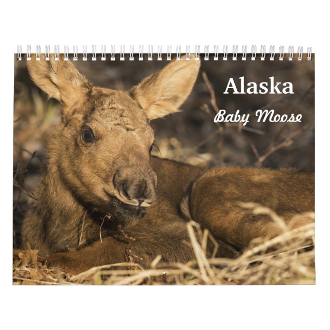Calendário Alces do bebê (Capa)