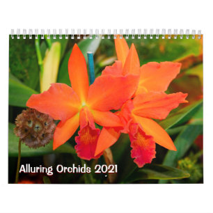 Calendário Alluring Orchids 2021